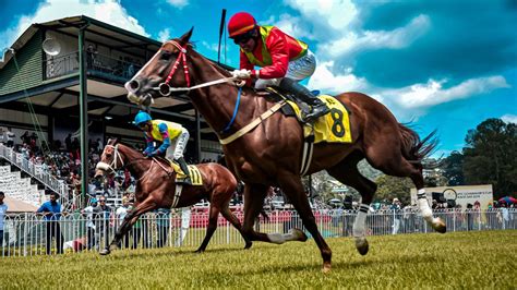 Apostas em corridas de cavalos Diadema