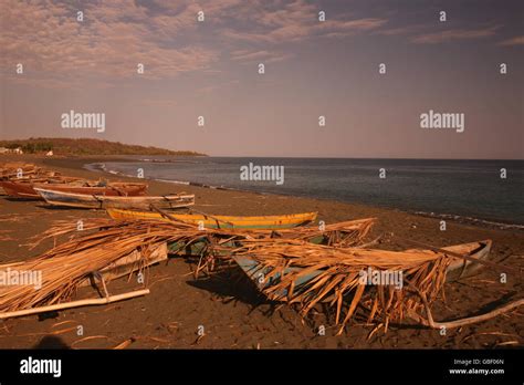 Beach Treasure Betano