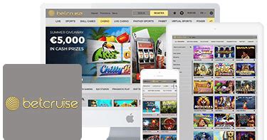 Betcruise casino aplicação