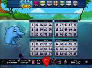 Boto Bingo Slot - Play Online