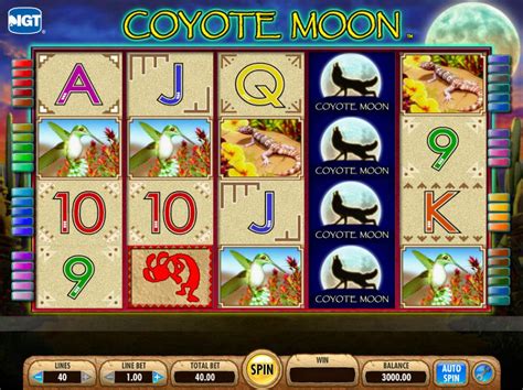 Coyote dinheiro slots