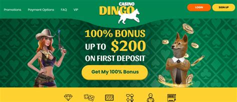 Dingo casino aplicação