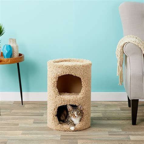 Kitty Condo Bwin