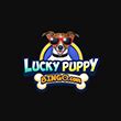 Lucky puppy bingo casino online