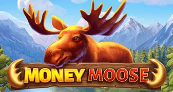 Money Moose Bwin