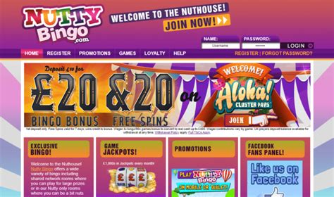 Nutty bingo casino Argentina