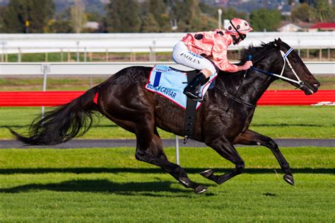 Pony Horse Racing Sportingbet