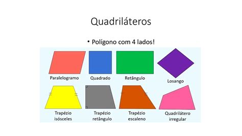 Quadriláteros roleta