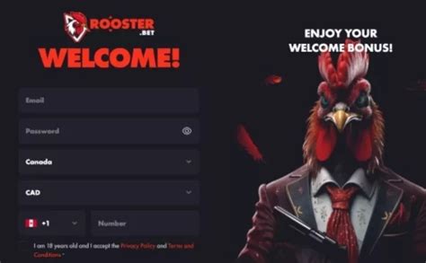 Rooster bet casino aplicação