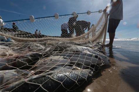 Slot de limites na gestão da pesca