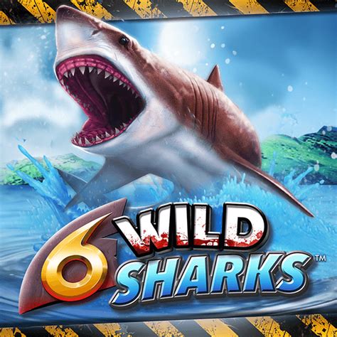 Wild Shark NetBet