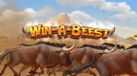 Win A Beest Bodog