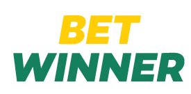 Winners bet casino apostas