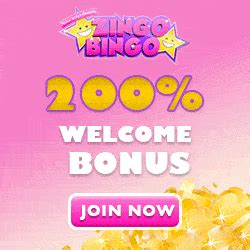 Zingo bingo casino apk